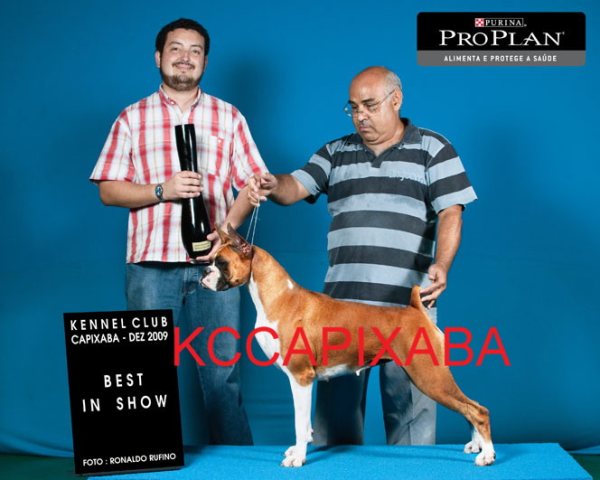 Clique sobre a foto para fechar